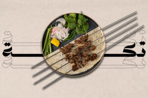 YOUGURT MEAT TIKKA